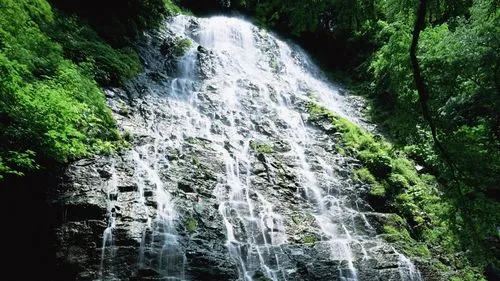 稳定性高效